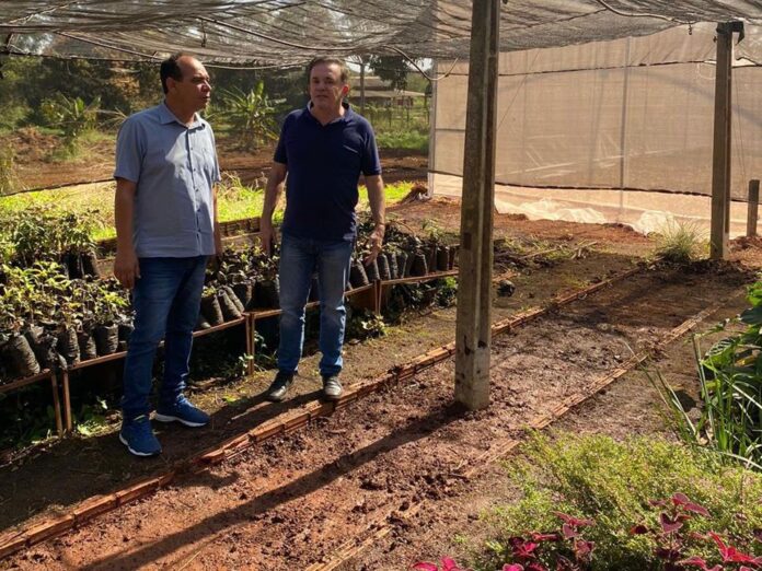 Encontro #13: visita às instalações da área de produção de mudas em Dourados