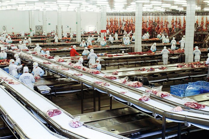 Complexo da JBS está gerando 800 empregos diretos Complexo da JBS está gerando 800 empregos diretos