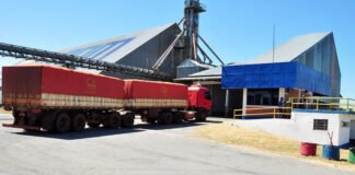 Soja sendo descarregada no terminal portuário da APPM