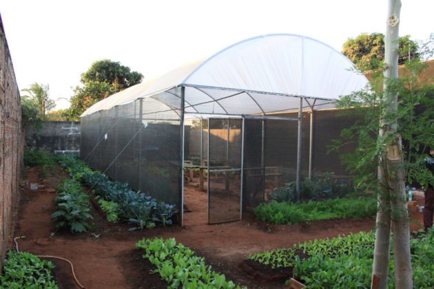 Estufa para produ&ccedil;&atilde;o de mudas com sistema de irriga&ccedil;&atilde;o foi implantada pelo Projeto de Agricultura Periurbana