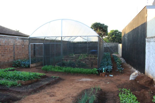 Estufa para produ&ccedil;&atilde;o de mudas com sistema de irriga&ccedil;&atilde;o foi implantada pelo Projeto de Agricultura Periurbana