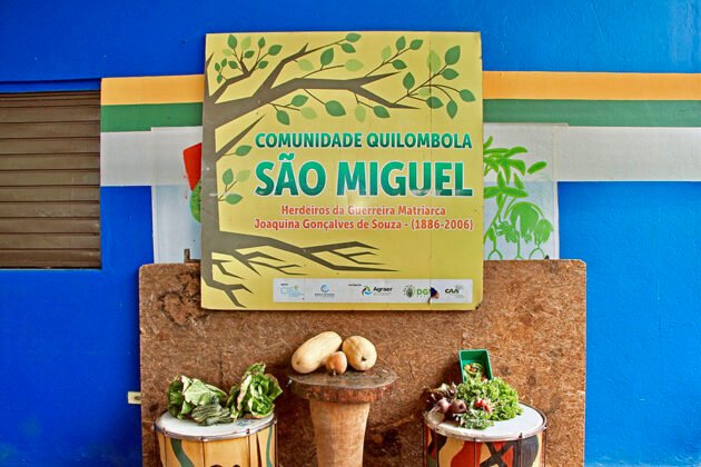 Parceria de Vander com Uems garante estufas para comunidade quilombola em Maracaju