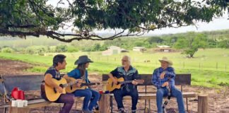 História, arte e política