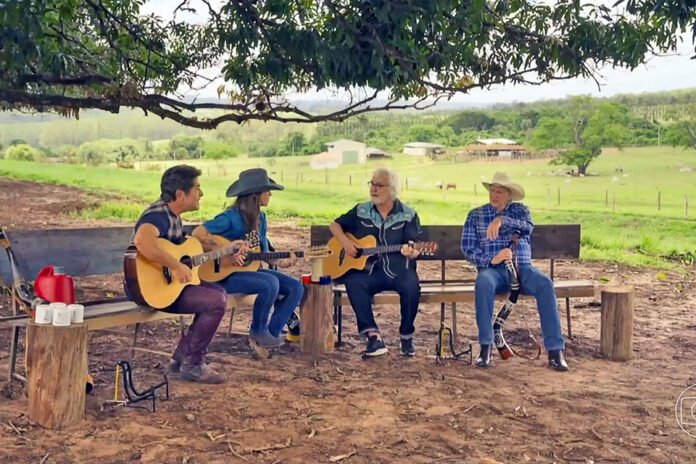 História, arte e política