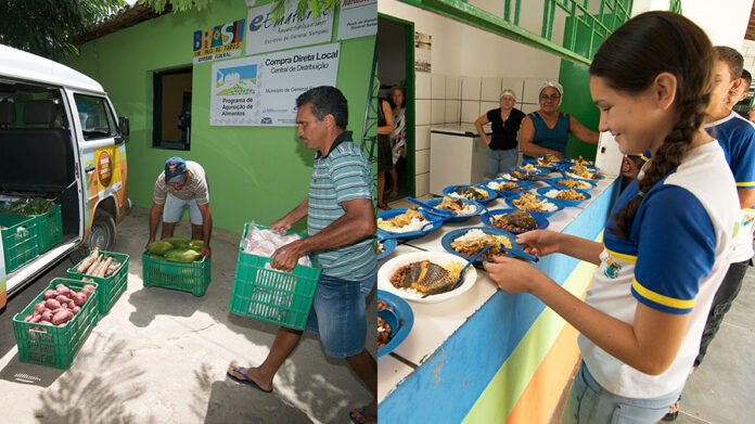 O PAA contribui com a agricultura familiar e com a merenda escolar