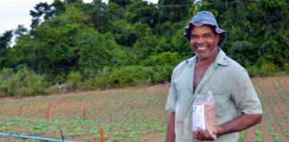 Agricultor familiar, produtor de feijão no Espírito Santo