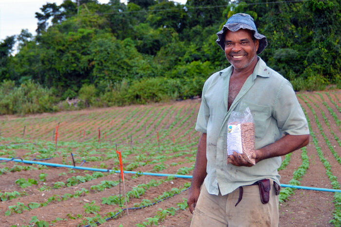 Agricultor familiar, produtor de feijão no Espírito Santo