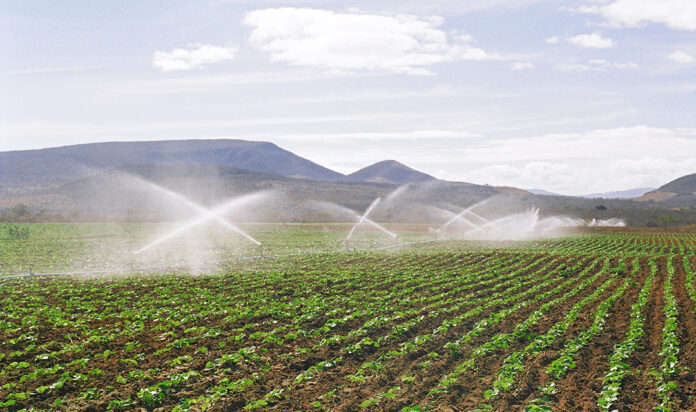 União deverá destinar ao CO e NE percentuais mínimos dos recursos para irrigação até 2028