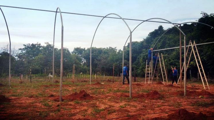 Construção das estufas já começou na Aldeia Urbana Água Bonita, em Campo Grande