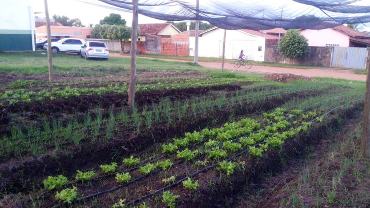 Horta agroecológica na Aldeia Aldeinha, em Anastácio