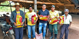 Entrega de sementes nas aldeias Bananal, Ipegue, Água Branca e Lagoinha foi acompanhada pela assessoria do deputado Vander