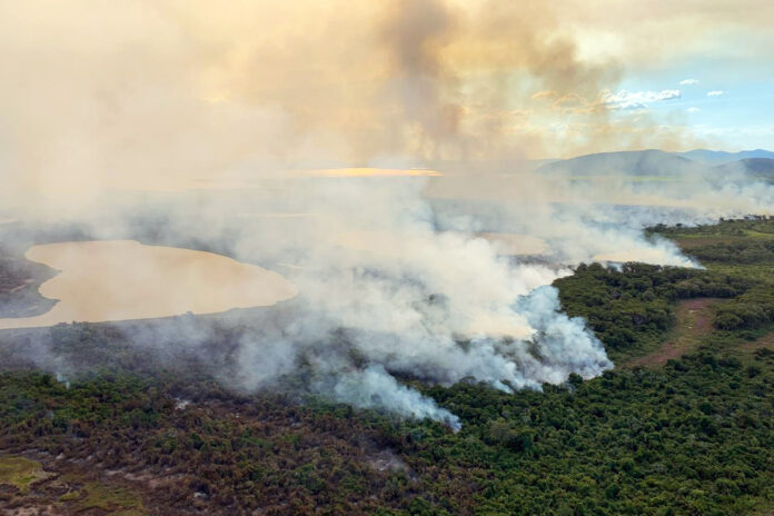 Queimadas no Pantanal são tema de reunião na Câmara Federal