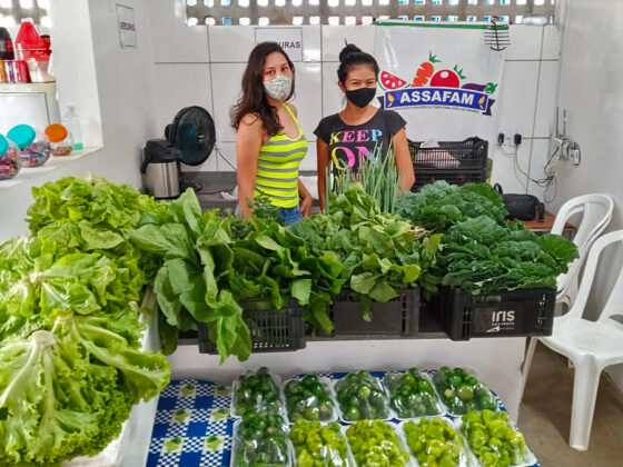 Agricultores familiares de Amambai exibem, orgulhosos, seus produtos no Mercado Municipal.