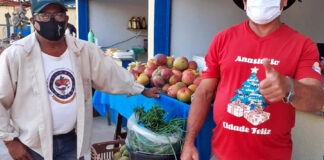 Mecanização da produção e feira impulsionam agricultura familiar de Anastácio