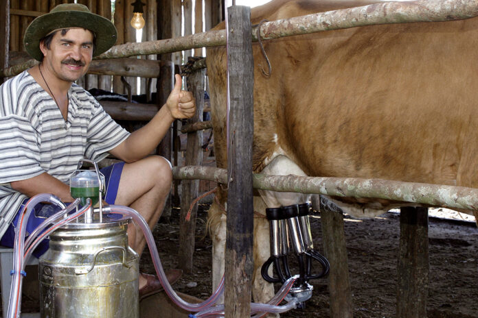 Leite, mel, mandioca e abóbora são principais produtos da agricultura familiar nas áreas alcançadas pela rota.