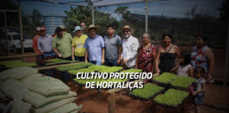 Projeto de cultivo de hortaliças amplia número de comunidades atendidas