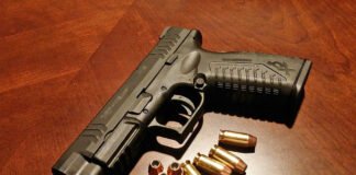 Armas na mão da população não contribuem para redução da criminalidade