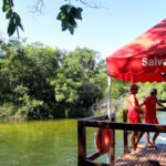 Na praia, balneário ou piscina, salva-vidas garantem mais segurança aos frequentadores
