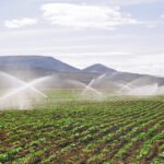 União deverá destinar ao CO e NE percentuais mínimos dos recursos para irrigação até 2028