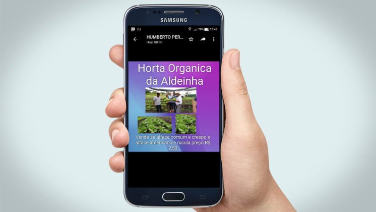 Ind&iacute;genas est&atilde;o divulgando pelo WhatsApp os produtos das hortas da aldeia