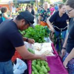 Indígenas da Aldeia 10 de Maio começaram a comercializar sua produção em feira da cidade