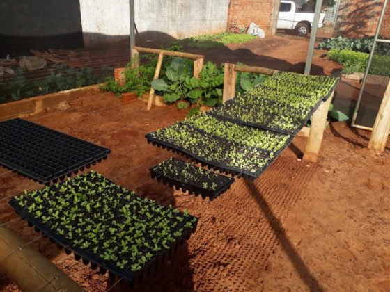 A&ccedil;&atilde;o de Vander, Zeca, UFMS e Agraer beneficia comunidade terap&ecirc;utica do Lageado