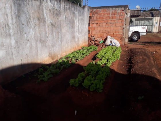 A&ccedil;&atilde;o de Vander, Zeca, UFMS e Agraer beneficia comunidade terap&ecirc;utica do Lageado