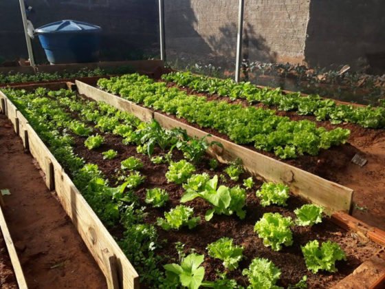 A&ccedil;&atilde;o de Vander, Zeca, UFMS e Agraer beneficia comunidade terap&ecirc;utica do Lageado