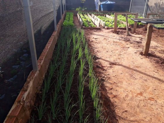 A&ccedil;&atilde;o de Vander, Zeca, UFMS e Agraer beneficia comunidade terap&ecirc;utica do Lageado