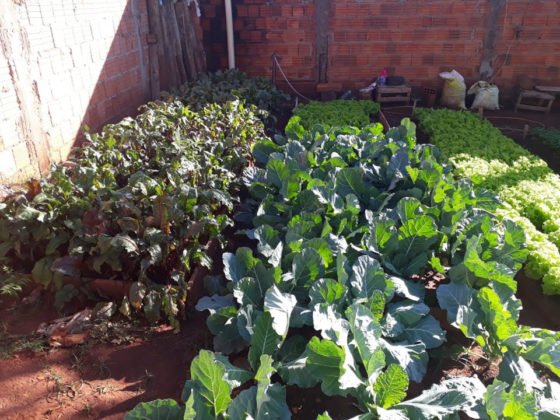 A&ccedil;&atilde;o de Vander, Zeca, UFMS e Agraer beneficia comunidade terap&ecirc;utica do Lageado