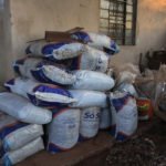 Nos terrenos do projeto de Frei Jonas são cultivadas plantas medicinais e hortaliças de maneira orgânica