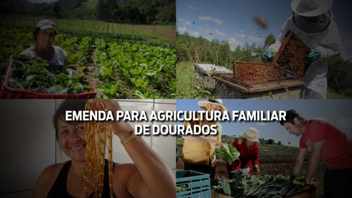 Agricultura familiar de Dourados é beneficiada mais uma vez por Vander