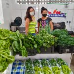 Agricultores familiares de Amambai exibem, orgulhosos, seus produtos no Mercado Municipal.