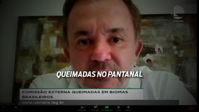 Comissão da Câmara atribui alta nas queimadas à ação humana e conduta estatal