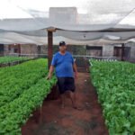 Jackson, que vende frango e hortaliças, destaca que a cobertura ajudou a aumentar o fluxo de consumidores na Feira.