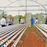 Parceria de Vander com Uems garante estufas para comunidade quilombola em Maracaju