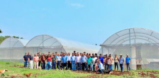 Parceria de Vander com Uems garante estufas para comunidade quilombola em Maracaju