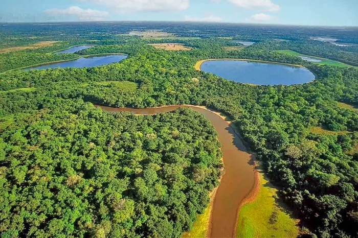 Vander destaca avanços, mas afirma que meio ambiente deve motivar lutas pela sustentabilidade
